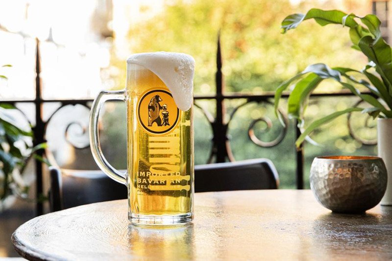 hofmeister-img-1